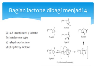Bagian lactone dibagi menjadi 4
 