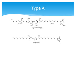 Type A
 