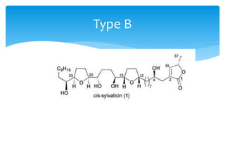 Type B
 