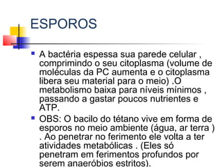 ESPOROS
 A bactéria espessa sua parede celular ,
comprimindo o seu citoplasma (volume de
moléculas da PC aumenta e o citoplasma
libera seu material para o meio) .O
metabolismo baixa para níveis mínimos ,
passando a gastar poucos nutrientes e
ATP.
 OBS: O bacilo do tétano vive em forma de
esporos no meio ambiente (água, ar terra )
. Ao penetrar no ferimento ele volta a ter
atividades metabólicas . (Eles só
penetram em ferimentos profundos por
serem anaeróbios estritos).
 