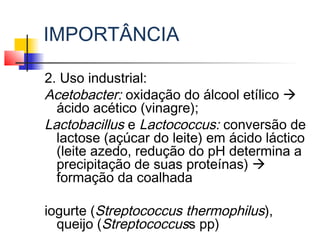 IMPORTÂNCIA
2. Uso industrial:
Acetobacter: oxidação do álcool etílico 
ácido acético (vinagre);
Lactobacillus e Lactococcus: conversão de
lactose (açúcar do leite) em ácido láctico
(leite azedo, redução do pH determina a
precipitação de suas proteínas) 
formação da coalhada
iogurte (Streptococcus thermophilus),
queijo (Streptococcuss pp)
 