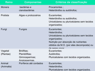 Reino Componentes Critérios de classificação
Monera bactérias e
cianobactérias
Procariontes ;
Heterótrofos ou autótrofos;
Protista Algas e protozoários Eucariontes;
Heterótrofos ou autótrofos;
Unicelulares ou pluricelulares sem tecidos
organizados;
Fungi Fungos Eucariontes;
Heterótrofos;
Unicelulares ou pluricelulares sem tecidos
organizados;
Nutrição por absorção de nutrientes
obtidos da M.O. (por eles decomposta) ou
de seres vivos;
Vegetal
(Plantae)
Briófitas;
Pteridófitas;
Gimnospermas;
Angiospermas.
Eucariontes;
Autótrofos;
Pluricelulares com tecidos organizados.
Animal
(Animalia)
Poríferos até cordados Eucariontes;
Heterótrofos;
Pluricelulares com tecidos organizados.
 