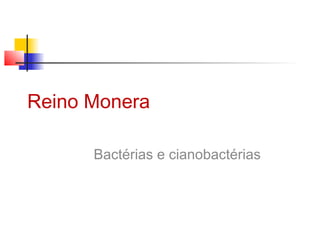 Reino Monera
Bactérias e cianobactérias
 