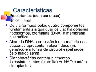 Características
 Procariontes (sem carioteca)
 Unicelulares
 Célula formada pelos quatro componentes
fundamentais a qualquer célula: hialoplasma,
ribossomos, cromatina (DNA) e membrana
plasmática.
 Além do DNA cromossômico, a maioria das
bactérias apresentam plasmídeos (m.
genético em forma de círculo) espalhados
pelo hialoplasma.
 Cianobactérias contém pigmentos
fotossintetizantes (clorofila)  NÃO contém
cloroplastos!
 