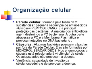 Organização celular
 Parede celular: formada pela fusão de 2
substâncias : pequena seqüência de aminoácidos
+Glicose= PEPTOGLICANO. É a principal
proteção das bactérias. A maioria dos antibióticos,
agem destruindo a PC bacteriana .A outra parte
atravessa a PC e a Membrana Plasmática e
provoca mutações no DNA bacteriano .
 Cápsulas: Algumas bactérias possuem cápsulas
por fora da Parede Celular. Elas são formadas por
MONOPOLISSÁCARIDEOS. Nos pneumococos a
cápsula está relacionada à virulência* da célula.
Os acapsulados não provocam a doença.
 Virulência: capacidade de invasão da
célulahospedeira e de provocar a doença.
 