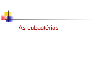 As eubactérias
 