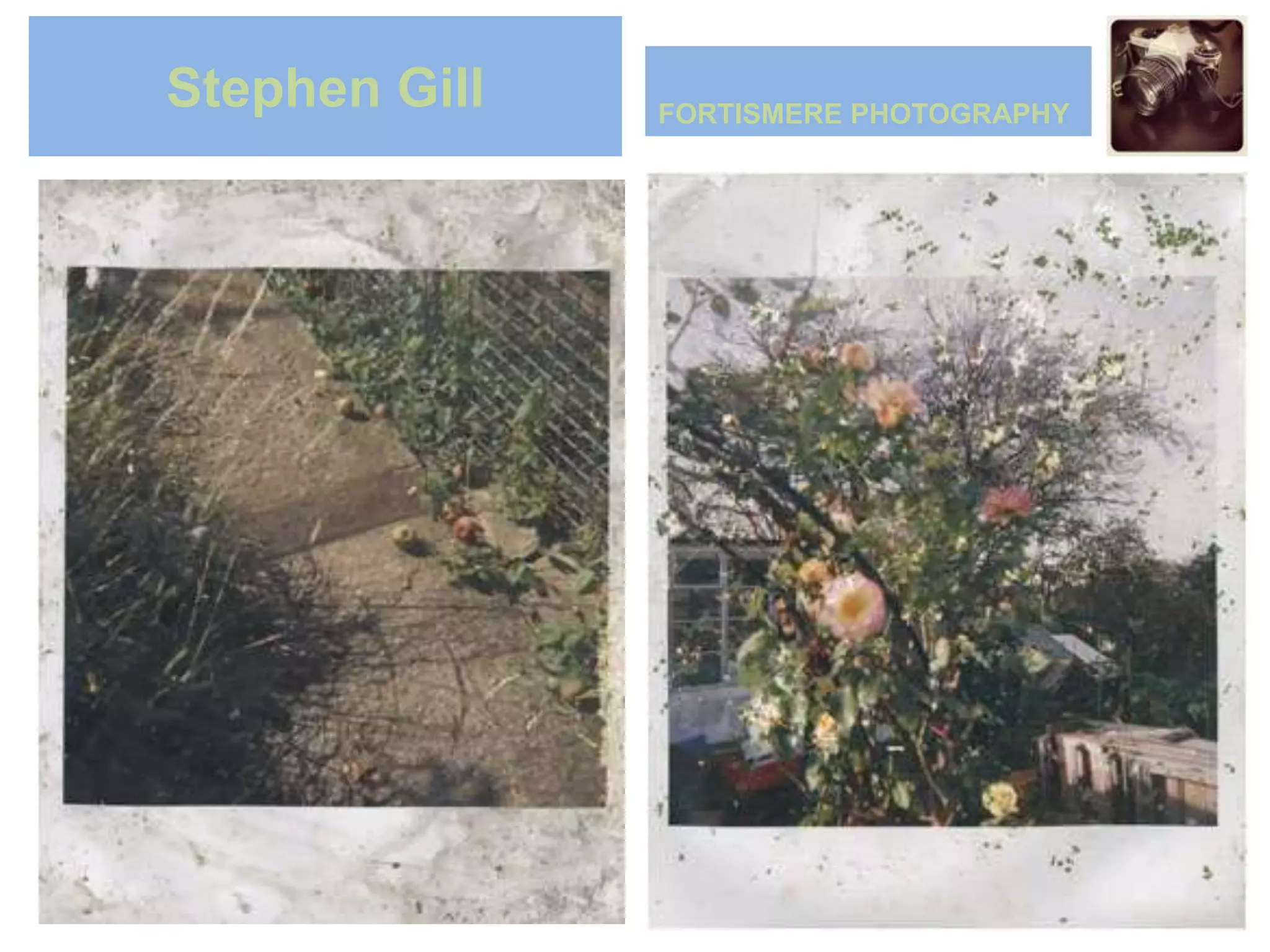 Stephen Gill   FORTISMERE PHOTOGRAPHY




Hotel room
 