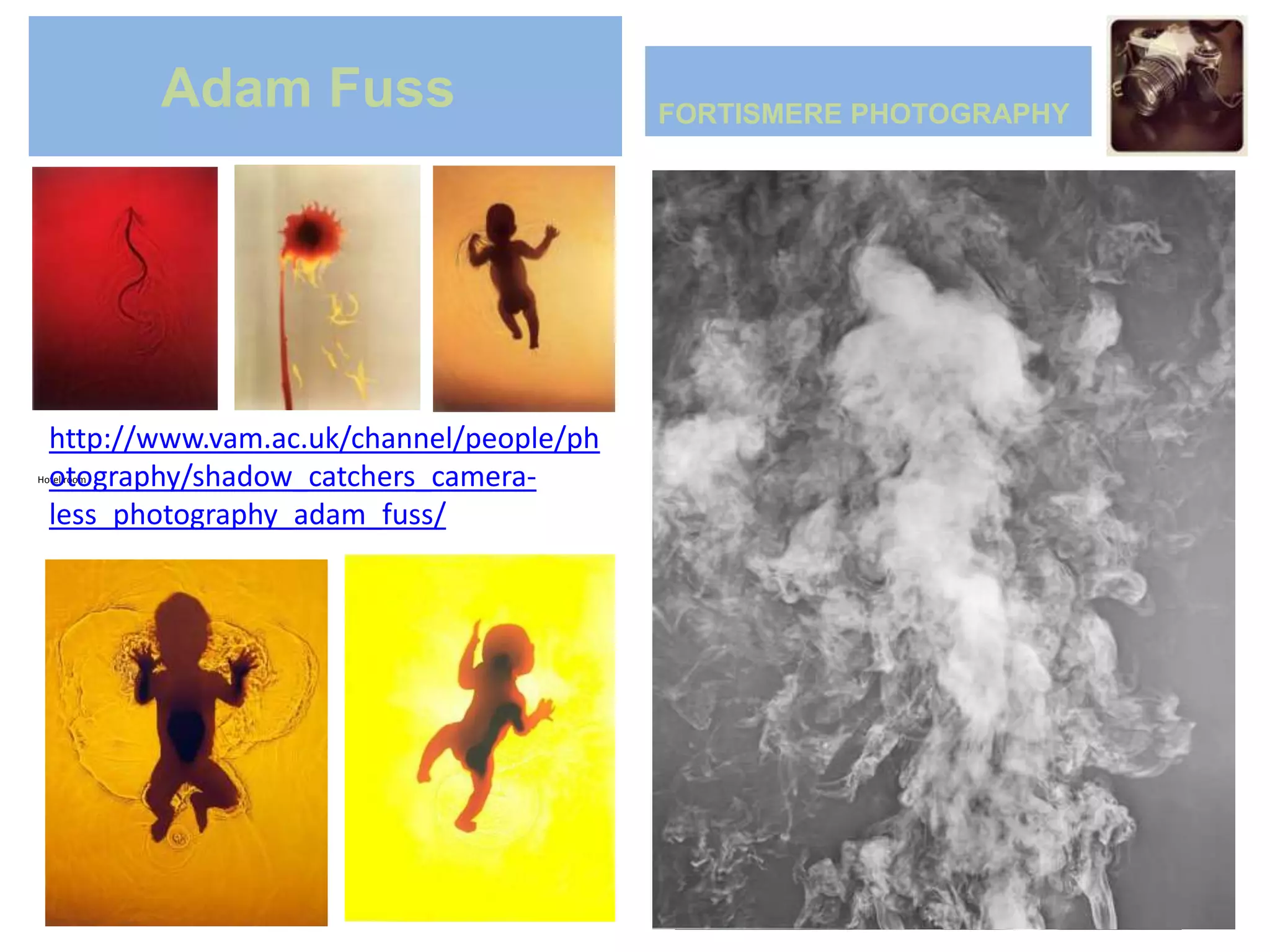 Adam Fuss                     FORTISMERE PHOTOGRAPHY




  http://www.vam.ac.uk/channel/people/ph
  otography/shadow_catchers_camera-
Hotel room


  less_photography_adam_fuss/
 
