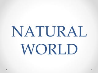 NATURAL
WORLD
 