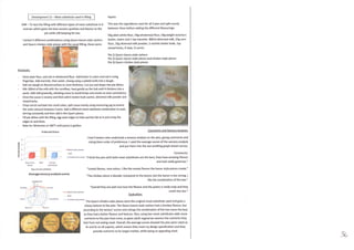 As exemplar coursework 2