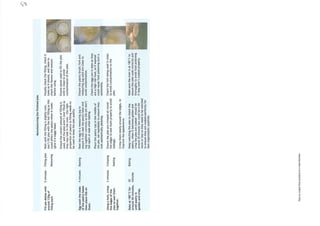 As exemplar coursework 2