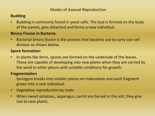 Modes of Asexual Reproduction
Budding
• Budding is commonly found in yeast cells. The bud is formed on the body
of the parent, gets detached and forms a new individual.
Binary Fission in Bacteria:
• Bacterial binary fission is the process that bacteria use to carry out cell
division as shown below.
Spore formation:
• In plants like ferns, spores are formed on the underside of the leaves.
These are capable of developing into new plants when they are carried by
the wind to other places with suitable conditions for growth.
Fragmentation
Spirogyra breaks into smaller pieces on maturation and each fragment
grows into a new individual.
• Vegetative reproduction by roots
• When sweet potatoes, asparagus, carrot are buried in the soil, they give
rise to new plants.
 