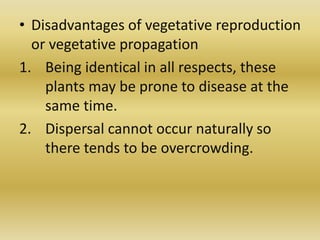 • Disadvantages of vegetative reproduction
or vegetative propagation
1. Being identical in all respects, these
plants may be prone to disease at the
same time.
2. Dispersal cannot occur naturally so
there tends to be overcrowding.
 