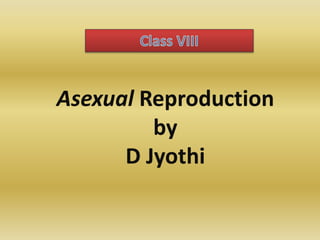 Asexual Reproduction
by
D Jyothi
 