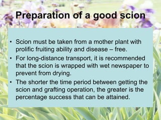 Preparation of a good scion
• Scion must be taken from a mother plant with
prolific fruiting ability and disease – free.
• For long-distance transport, it is recommended
that the scion is wrapped with wet newspaper to
prevent from drying.
• The shorter the time period between getting the
scion and grafting operation, the greater is the
percentage success that can be attained.
 
