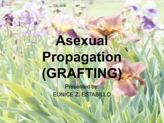 Asexual
Propagation
(GRAFTING)
Presented by:
EUNICE Z. ESTABILLO
 