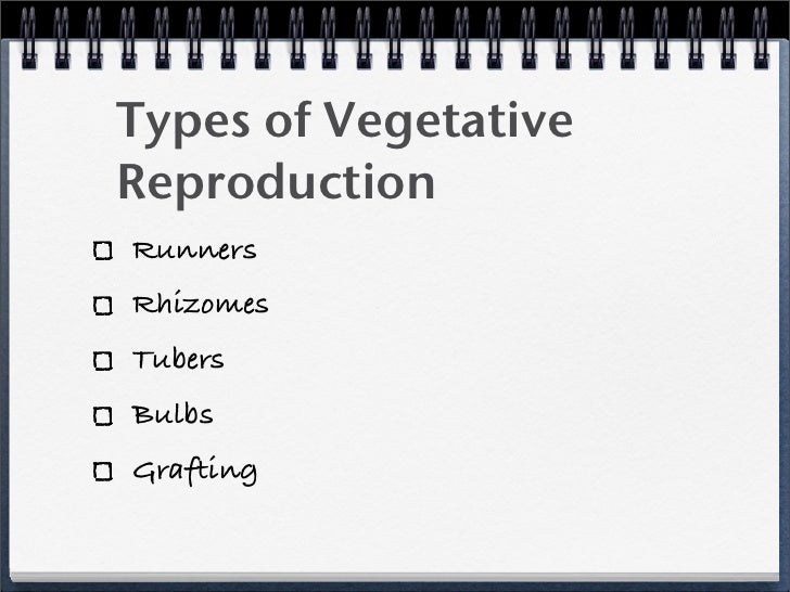 Asexual Reproduction