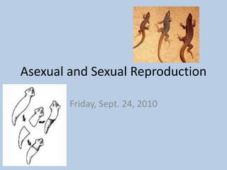 Asexual and Sexual Reproduction Friday, Sept. 24, 2010 