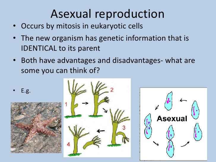 Asexual and sexual reproduction