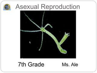 Asexual Reproduction




7th Grade     Ms. Ale
 