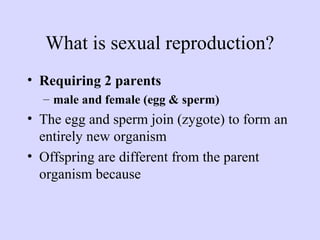 Sexual Reproduction Chat Form Asexual and sexual_reproduction | PPT