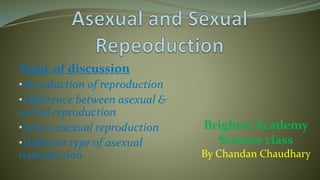 Topic of discussion
•Introduction of reproduction
•Difference between asexual &
sexual reproduction
•About asexual reproduction
•Different type of asexual
reproduction
Brighter Academy
Science class
By Chandan Chaudhary
 