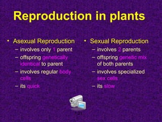 Reproduction in plants
• Asexual Reproduction
– involves only 1 parent
– offspring genetically
identical to parent
– involves regular body
cells
– its quick
• Sexual Reproduction
– involves 2 parents
– offspring genetic mix
of both parents
– involves specialized
sex cells
– its slow
1:21
 