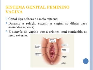 SISTEMA GENITAL FEMININO 
VAGINA 
 Canal liga o útero ao meio externo; 
 Durante a relação sexual, a vagina se dilata para 
acomodar o pênis; 
 É através da vagina que a criança será conduzida ao 
meio externo. 
 