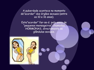 A puberdade acontece no momento do”acordar” dos órgãos sexuais (entre os 10 e 16 anos). Este”acordar” far-se-á  pelo envio de “pequenos mensageiros” chamados  HORMONAS, directamente às glândulas sexuais.