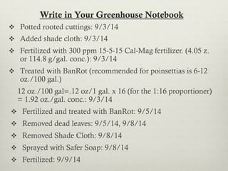 Write in Your Greenhouse Notebook
v  Potted rooted cuttings: 9/3/14
v  Added shade cloth: 9/3/14
v  Fertilized with 300 ppm 15-5-15 Cal-Mag fertilizer. (4.05 z.
or 114.8 g/gal. conc.): 9/3/14
v  Treated with BanRot (recommended for poinsettias is 6-12
oz./100 gal.)
12 oz./100 gal=.12 oz/1 gal. x 16 (for the 1:16 proportioner)
= 1.92 oz./gal. conc.: 9/3/14
v  Fertilized and treated with BanRot: 9/5/14
v  Removed dead leaves: 9/5/14, 9/8/14
v  Removed Shade Cloth: 9/8/14
v  Sprayed with Safer Soap: 9/8/14
v  Fertilized: 9/9/14
 