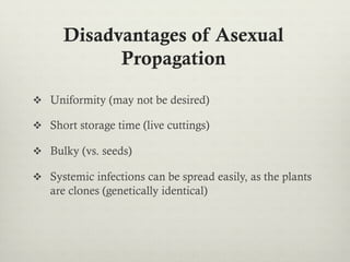Disadvantages of Asexual
Propagation
v  Uniformity (may not be desired)
v  Short storage time (live cuttings)
v  Bulky (vs. seeds)
v  Systemic infections can be spread easily, as the plants
are clones (genetically identical)
 