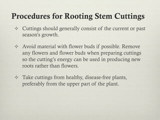 Procedures for Rooting Stem Cuttings
²  Cuttings should generally consist of the current or past
season’s growth.
²  Avoid material with flower buds if possible. Remove
any flowers and flower buds when preparing cuttings
so the cutting’s energy can be used in producing new
roots rather than flowers.
²  Take cuttings from healthy, disease-free plants,
preferably from the upper part of the plant.
 