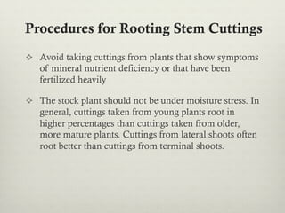 ²  Avoid taking cuttings from plants that show symptoms
of mineral nutrient deficiency or that have been
fertilized heavily
²  The stock plant should not be under moisture stress. In
general, cuttings taken from young plants root in
higher percentages than cuttings taken from older,
more mature plants. Cuttings from lateral shoots often
root better than cuttings from terminal shoots.
Procedures for Rooting Stem Cuttings
 