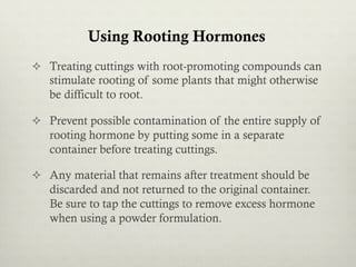 ²  Treating cuttings with root-promoting compounds can
stimulate rooting of some plants that might otherwise
be difficult to root.
²  Prevent possible contamination of the entire supply of
rooting hormone by putting some in a separate
container before treating cuttings.
²  Any material that remains after treatment should be
discarded and not returned to the original container.
Be sure to tap the cuttings to remove excess hormone
when using a powder formulation.
Using Rooting Hormones
 