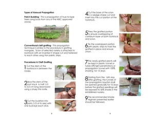 Types of Asexual Propagation
Patch Budding - This is propagation of true-to-type
trees using buds from any of the NSIC approved
clones.
Conventional cleft grafting - This propagation
technique is similar to the procedure in grafting
mangoes. Scion of selected variety is attached to
rootstock with an inverted V shape cut and fastened
to each other using thin palstic strips.
Procedures in Cleft Grafting
1Cut the stem of the
rootstock in between the
nodes.
2Slice the stem of the
root stock in half, 2.5
to 3.0 cm long downward
using a sharp thin knife.
3Cut the budstick into
parts (1/2 of its size) with
one bud-eye each stick.
4Cut the base of the scion
in a wedge shape cut and
insert into the cut portion of the
rootstock.
5Press the grafted portion
to ensure overlapping of
cambium layer of both rootstock
and scion.
6Tie the overlapped portion
with plastic strips to hold the
grafted in place and ensure
union.
8Starting from the 16th day
after grafting, the tunnels of
the propagation box/bin shall
be opened gradually for 10 days
before the grafted seedlings will
be exposed to 50% shade in the
established nursery.
9The recommended shade
regimen presented earlier
should be followed.
7The newly grafted plants will
be kept in plastic tunnel or
tubes (0% light penetration) or
propagation tunnel with 100%
shading for 15 days.
32
 