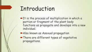 Introduction
It is the process of multiplication in which a
portion or fragment of the plant body
functions as propagate and develops into a new
individual.
Also known as Asexual propagation
There are different types of vegetative
propagations.
 