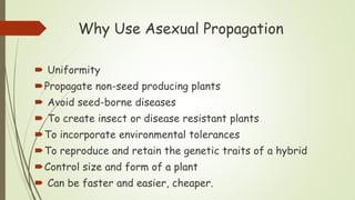 Why Use Asexual Propagation
 Uniformity
Propagate non-seed producing plants
 Avoid seed-borne diseases
 To create insect or disease resistant plants
To incorporate environmental tolerances
To reproduce and retain the genetic traits of a hybrid
Control size and form of a plant
 Can be faster and easier, cheaper.
 