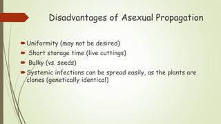 Disadvantages of Asexual Propagation
Uniformity (may not be desired)
 Short storage time (live cuttings)
 Bulky (vs. seeds)
Systemic infections can be spread easily, as the plants are
clones (genetically identical)
 