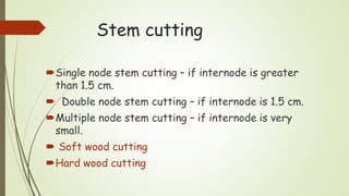 Stem cutting
Single node stem cutting – if internode is greater
than 1.5 cm.
 Double node stem cutting – if internode is 1.5 cm.
Multiple node stem cutting – if internode is very
small.
 Soft wood cutting
Hard wood cutting
 