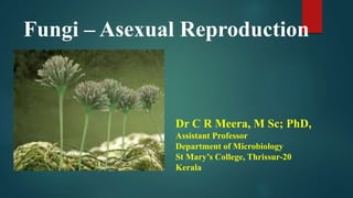 Fungi – Asexual Reproduction
Dr C R Meera, M Sc; PhD,
Assistant Professor
Department of Microbiology
St Mary’s College, Thrissur-20
Kerala
 