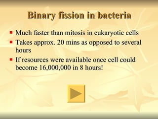 Binary fission in bacteria Much faster than mitosis in eukaryotic cells Takes approx. 20 mins as opposed to several hours If resources were available once cell could become 16,000,000 in 8 hours! 