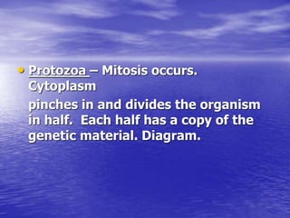 Asexual reproduction | PPT