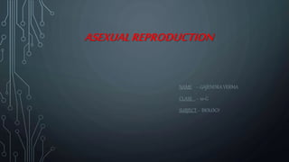 ASEXUALREPRODUCTION
NAME -- GAJENDRA VERMA
CLASS – 10-G
SUBJECT -- BIOLOGY
 