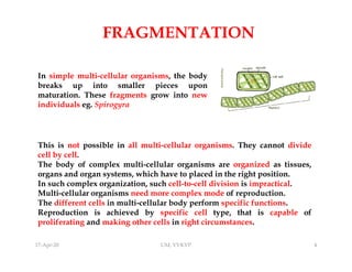 Asexual reproduction - mode of reproduction by single organisms | PDF