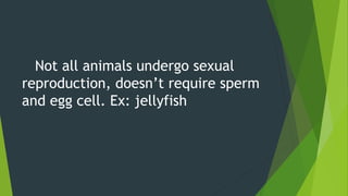 Not all animals undergo sexual
reproduction, doesn’t require sperm
and egg cell. Ex: jellyfish
 