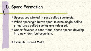 D. Spore Formation
Spores are stored in sacs called sporangia.
When sporangia burst open; minute single-celled
structures called spores are released.
Under favorable conditions, these spores develop
into new identical organism.
Example: Bread Mold
 