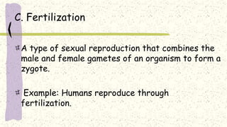 C. Fertilization
A type of sexual reproduction that combines the
male and female gametes of an organism to form a
zygote.
Example: Humans reproduce through
fertilization.
 