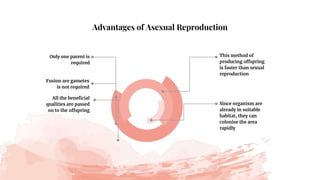 Advantages of Asexual Reproduction
Only one parent is
required
This method of
producing offspring
is faster than sexual
reproduction
Since organism are
already in suitable
habitat, they can
colonise the area
rapidly
Fusion are gametes
is not required
All the beneficial
qualities are passed
on to the offspring
 