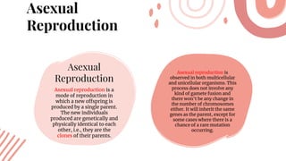 Asexual
Reproduction
Asexual
Reproduction
Asexual reproduction is a
mode of reproduction in
which a new offspring is
produced by a single parent.
The new individuals
produced are genetically and
physically identical to each
other, i.e., they are the
clones of their parents.
Asexual reproduction is
observed in both multicellular
and unicellular organisms. This
process does not involve any
kind of gamete fusion and
there won’t be any change in
the number of chromosomes
either. It will inherit the same
genes as the parent, except for
some cases where there is a
chance of a rare mutation
occurring.
 