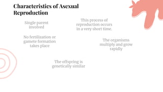 Characteristics of Asexual
Reproduction
Single parent
involved
No fertilization or
gamete formation
takes place
This process of
reproduction occurs
in a very short time.
The organisms
multiply and grow
rapidly
The offspring is
genetically similar
 